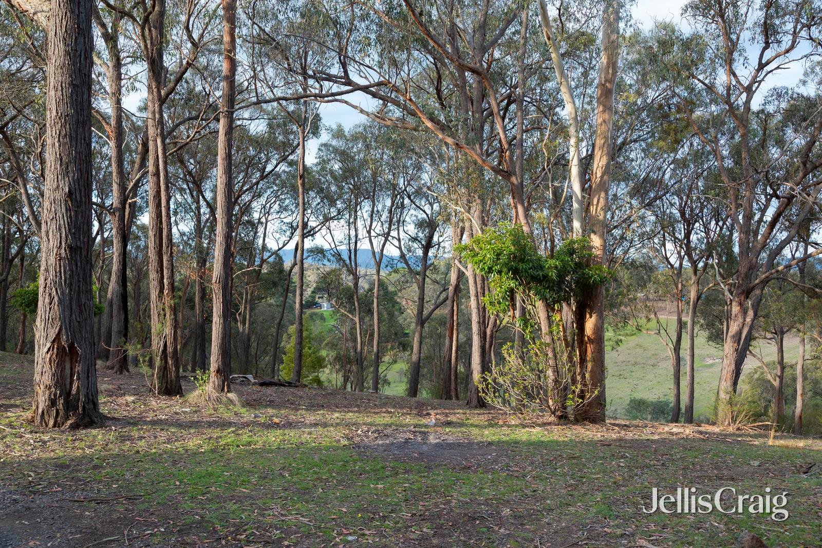 20 Kerrs Road, St Andrews image 19