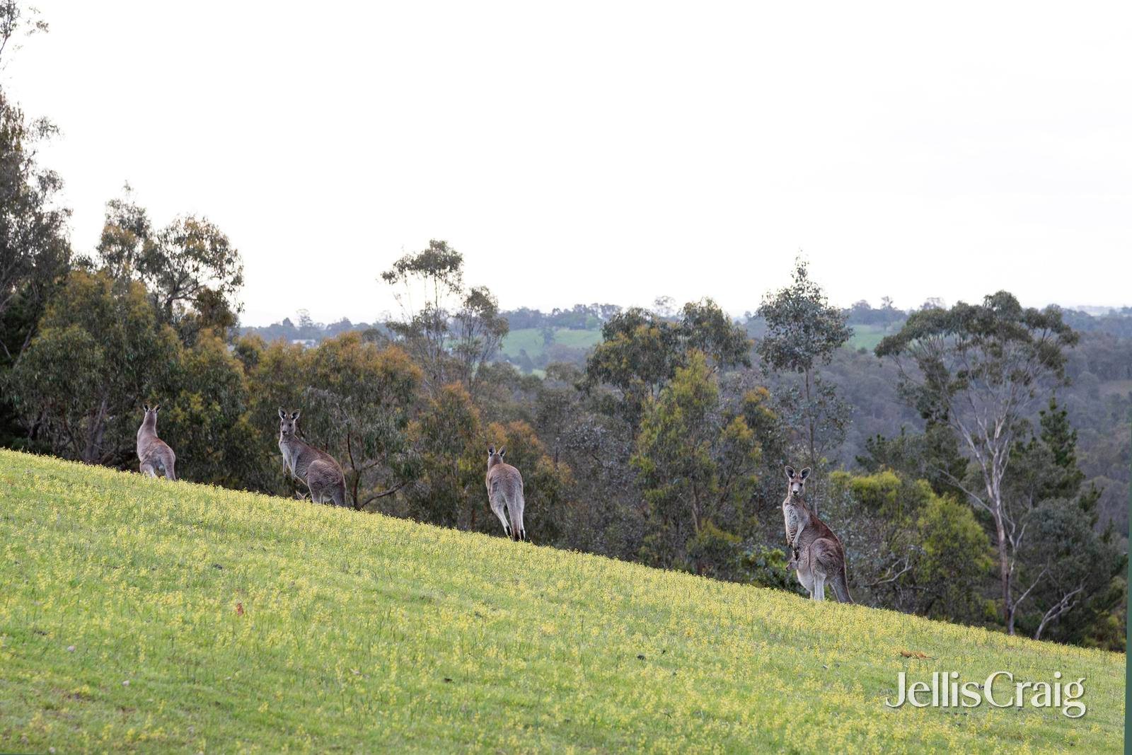 20 Kerrs Road, St Andrews image 20