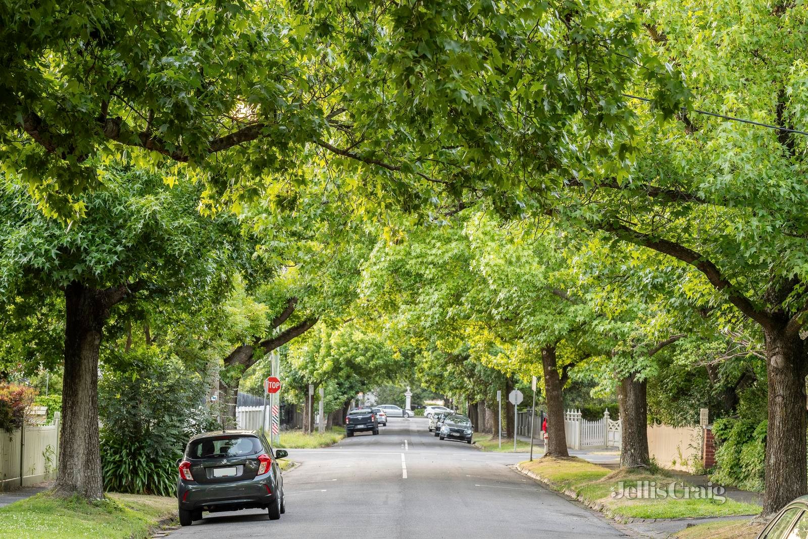 20 Kintore Street, Camberwell image 22