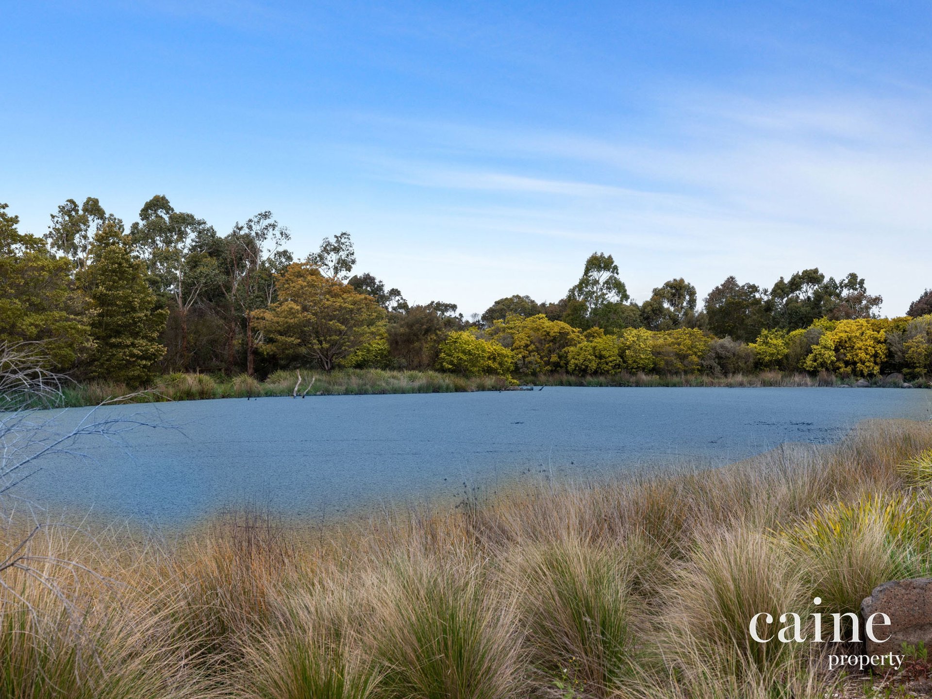 20 Macarthur Park Boulevard, Miners Rest image 25