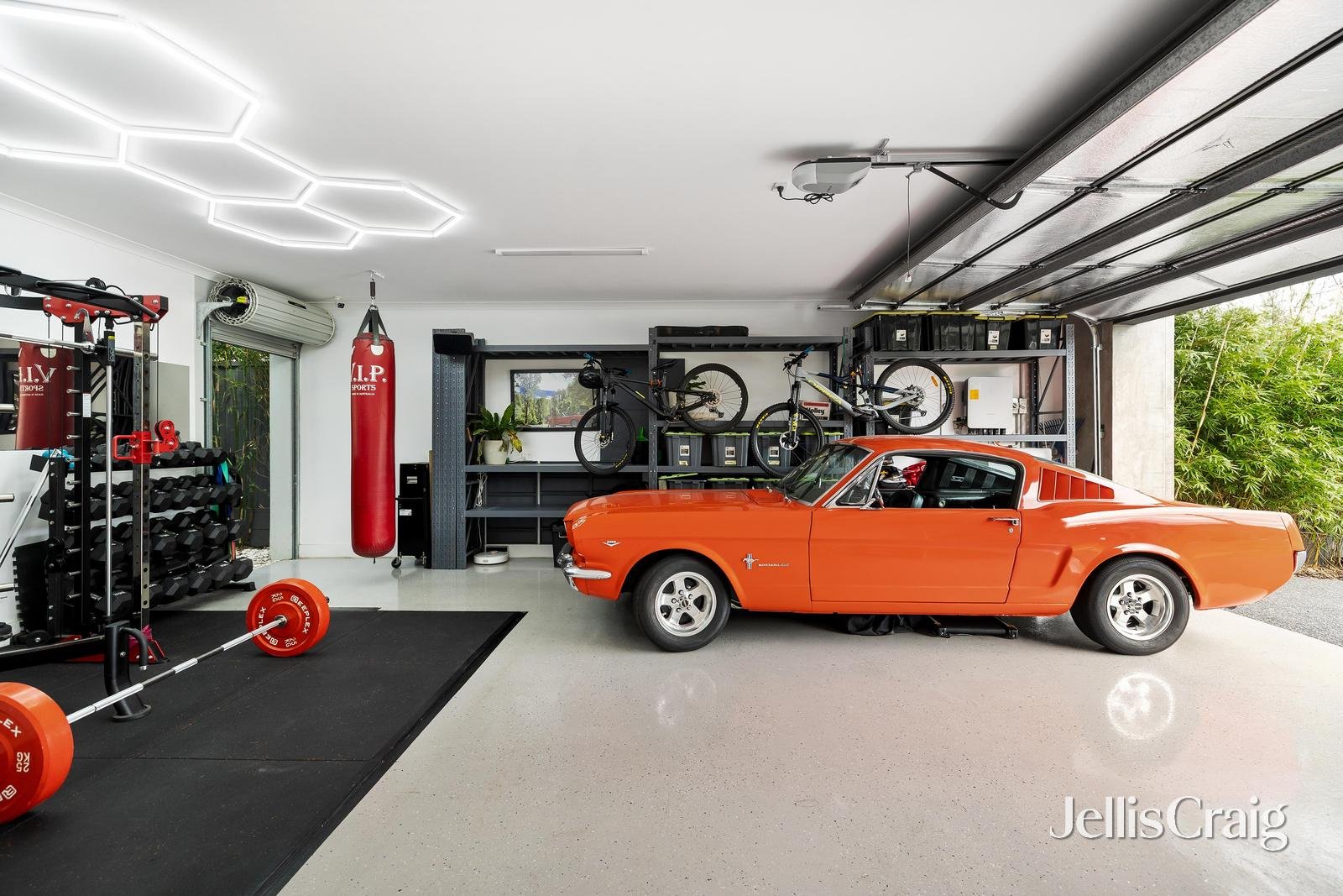 20 Mitchell Street, Bentleigh image 23