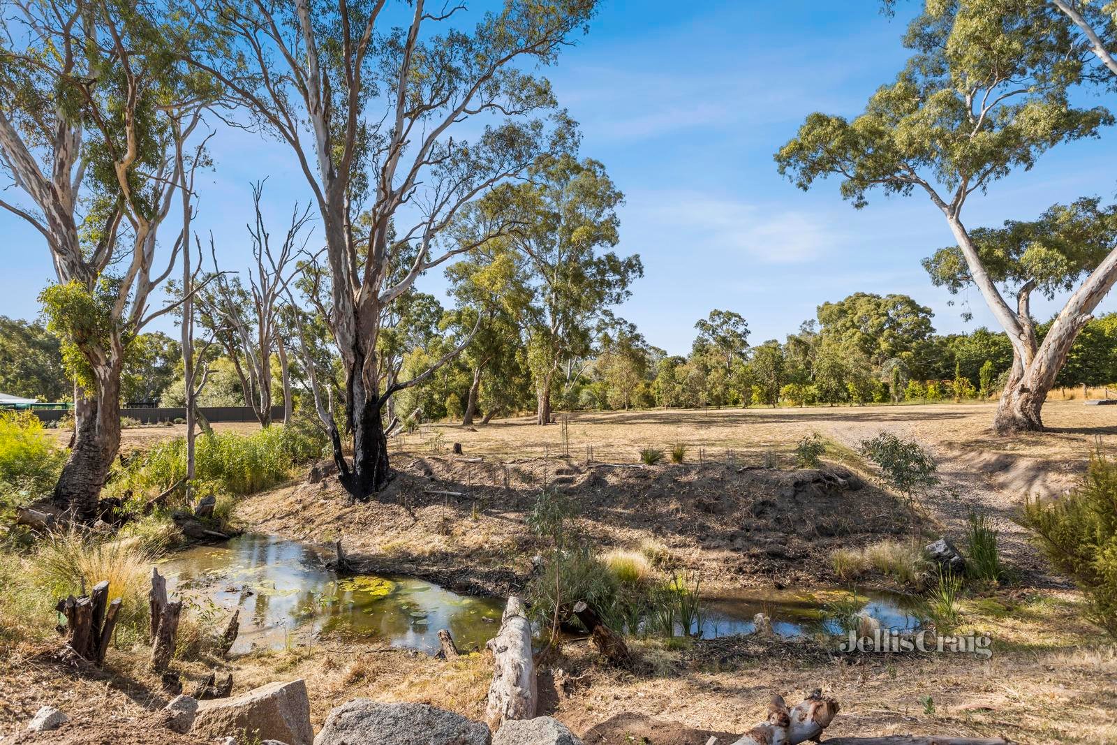 20 Molly Drive, Harcourt image 3