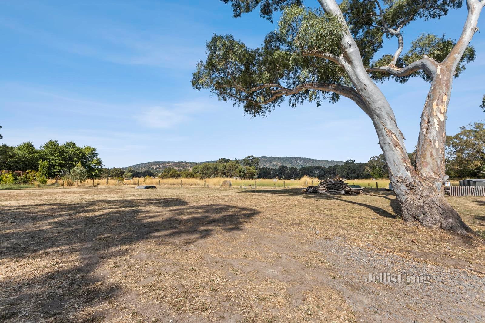 20 Molly Drive, Harcourt image 4