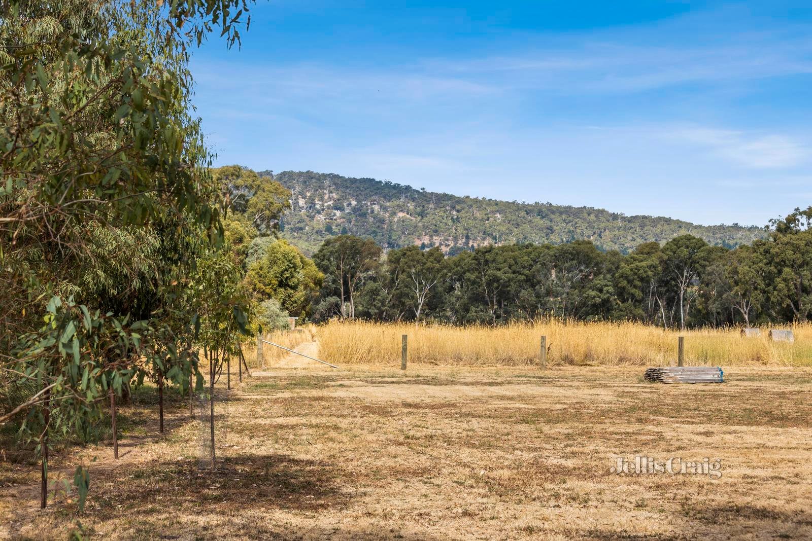 20 Molly Drive, Harcourt image 8