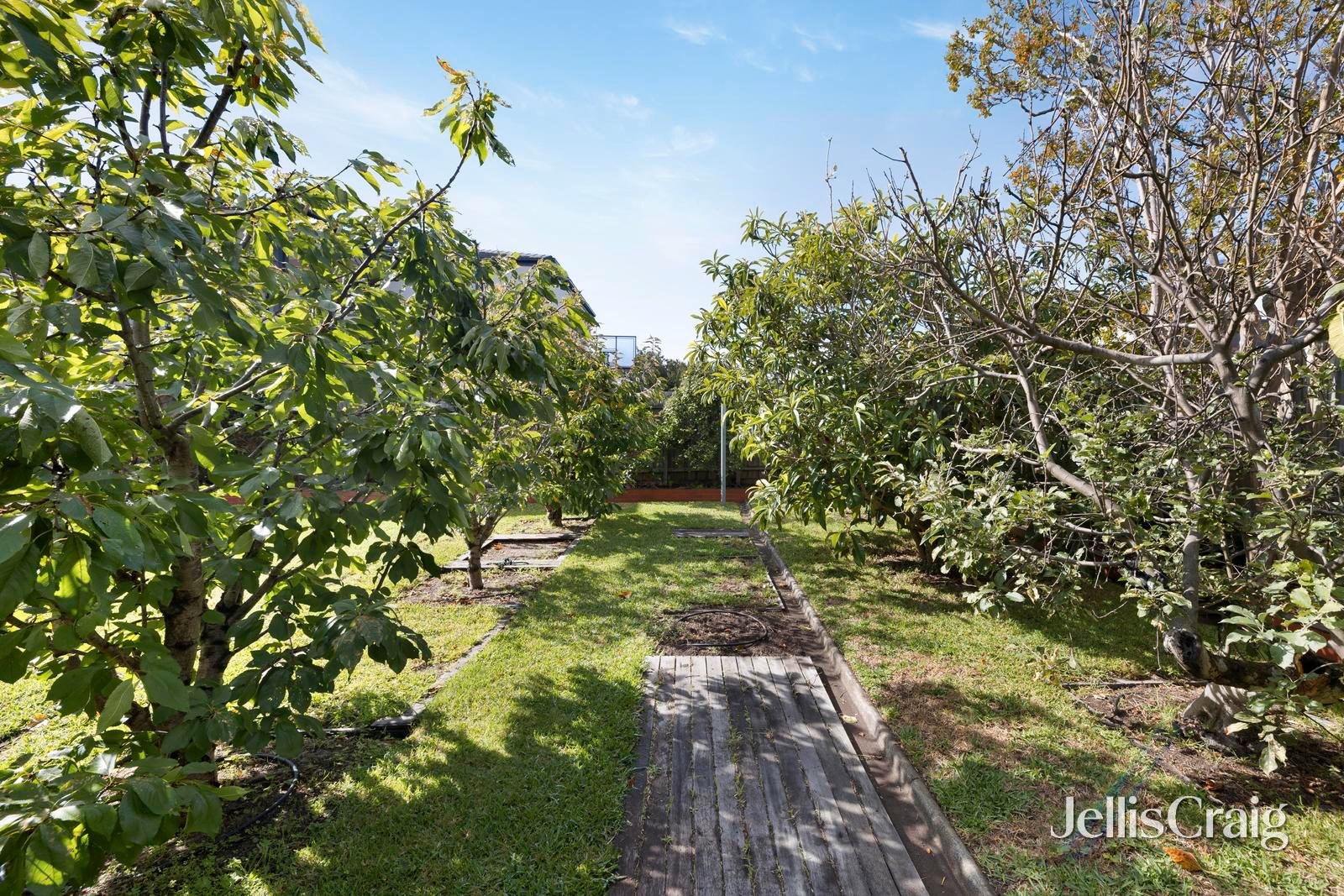 20 Mortimore Street, Bentleigh image 14