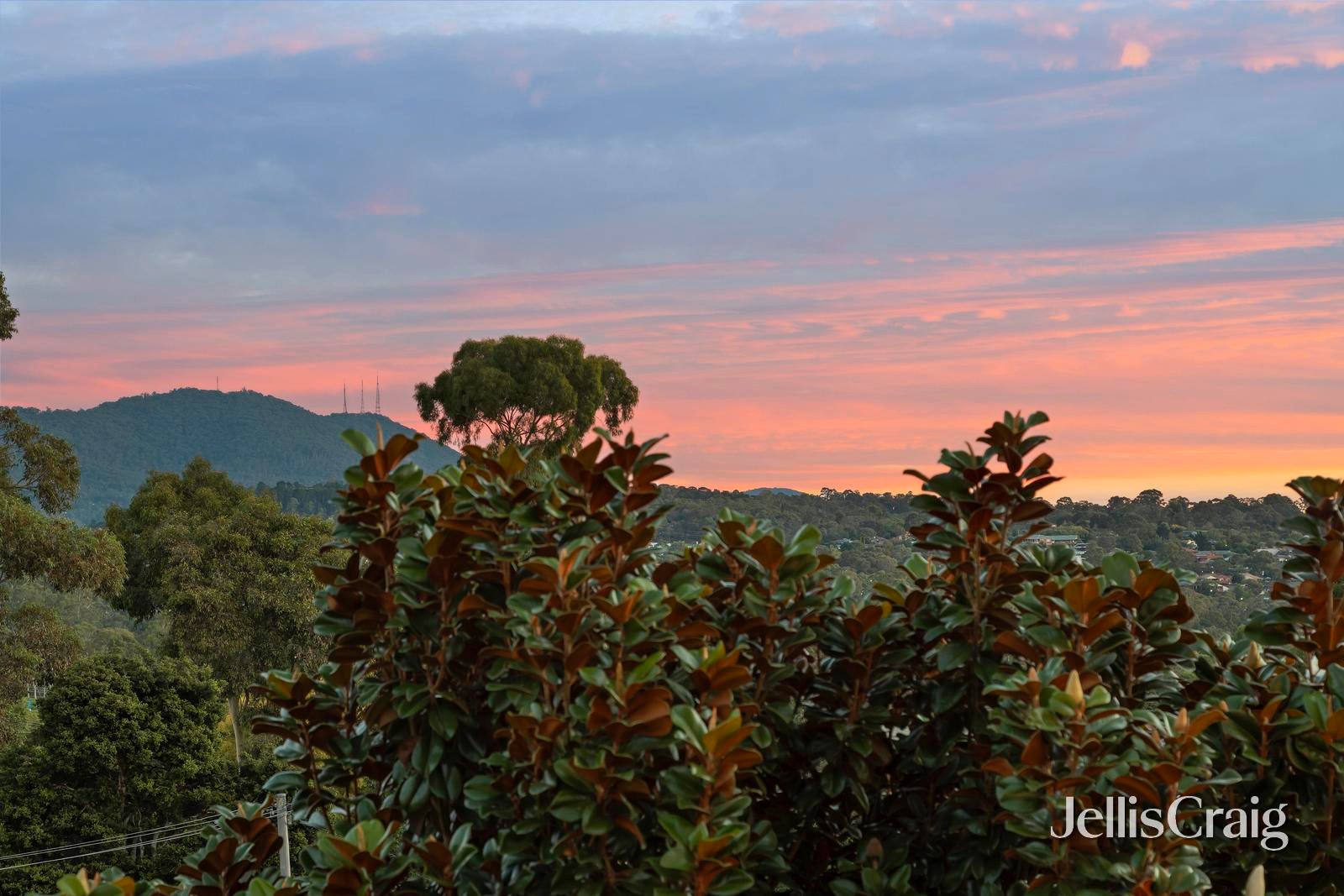 20 Norris Drive, Lilydale image 20