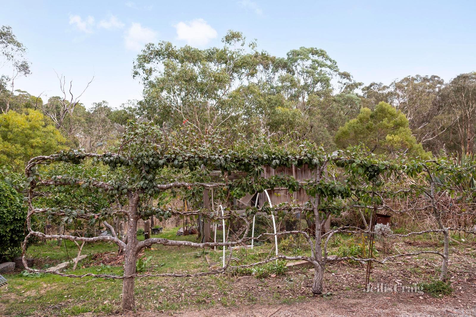 20 Salters Rush Road, Smiths Gully image 21