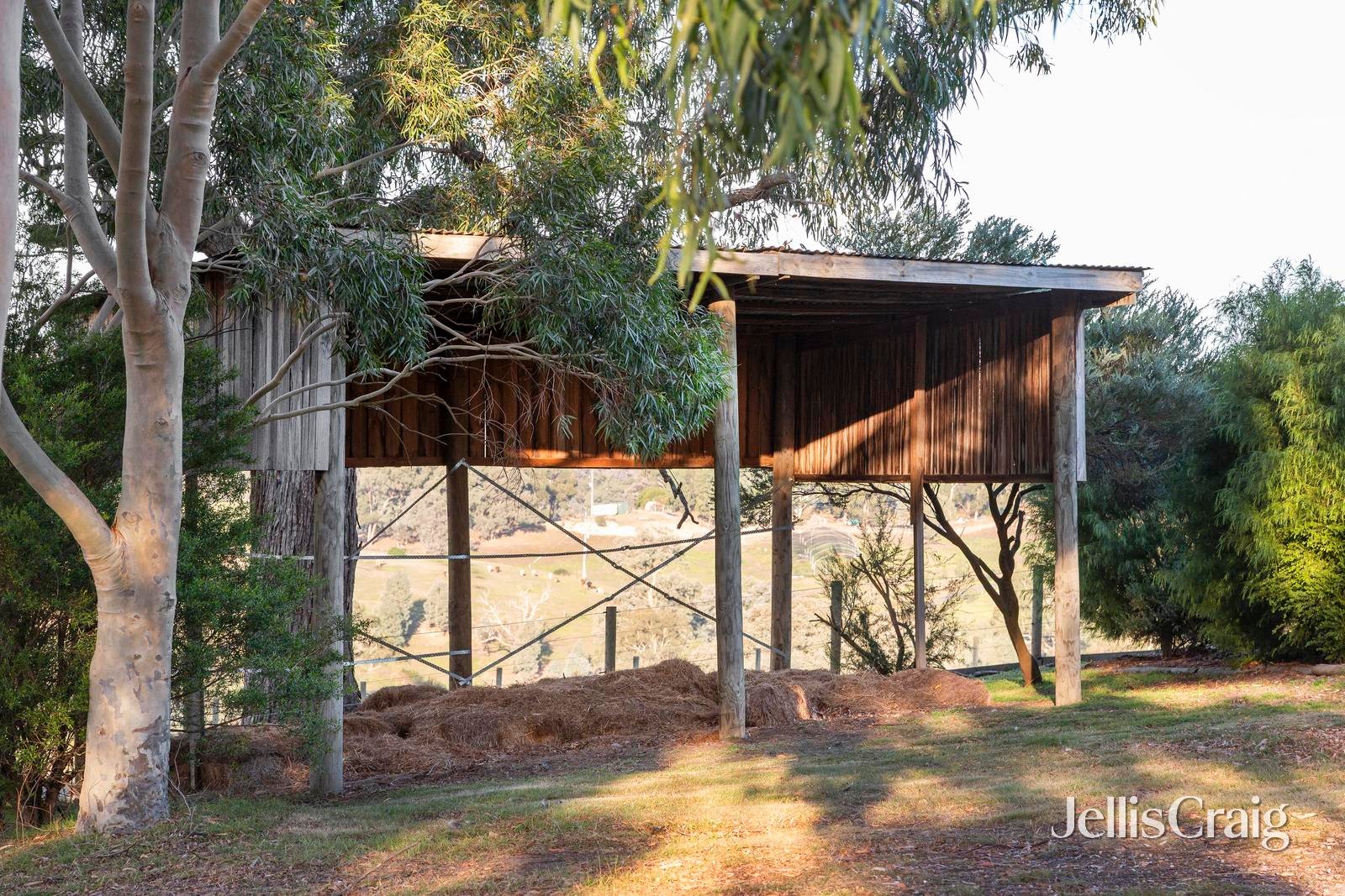 20 Turnung Road, Panton&nbsp;Hill image 23