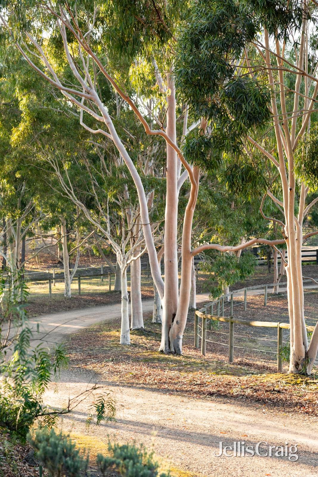 20 Turnung Road, Panton&nbsp;Hill image 25