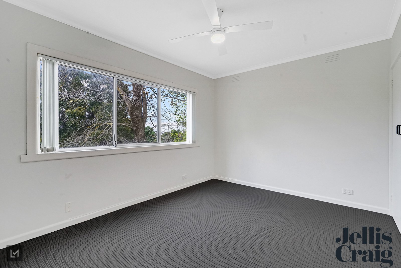 20 Wallabah Street, Mount&nbsp;Waverley image 11
