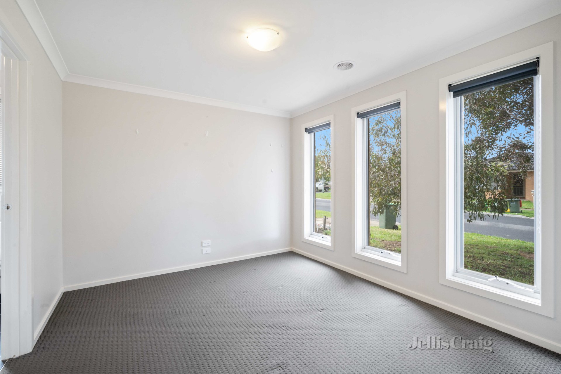 20 Whidburn Place, Sebastopol image 5