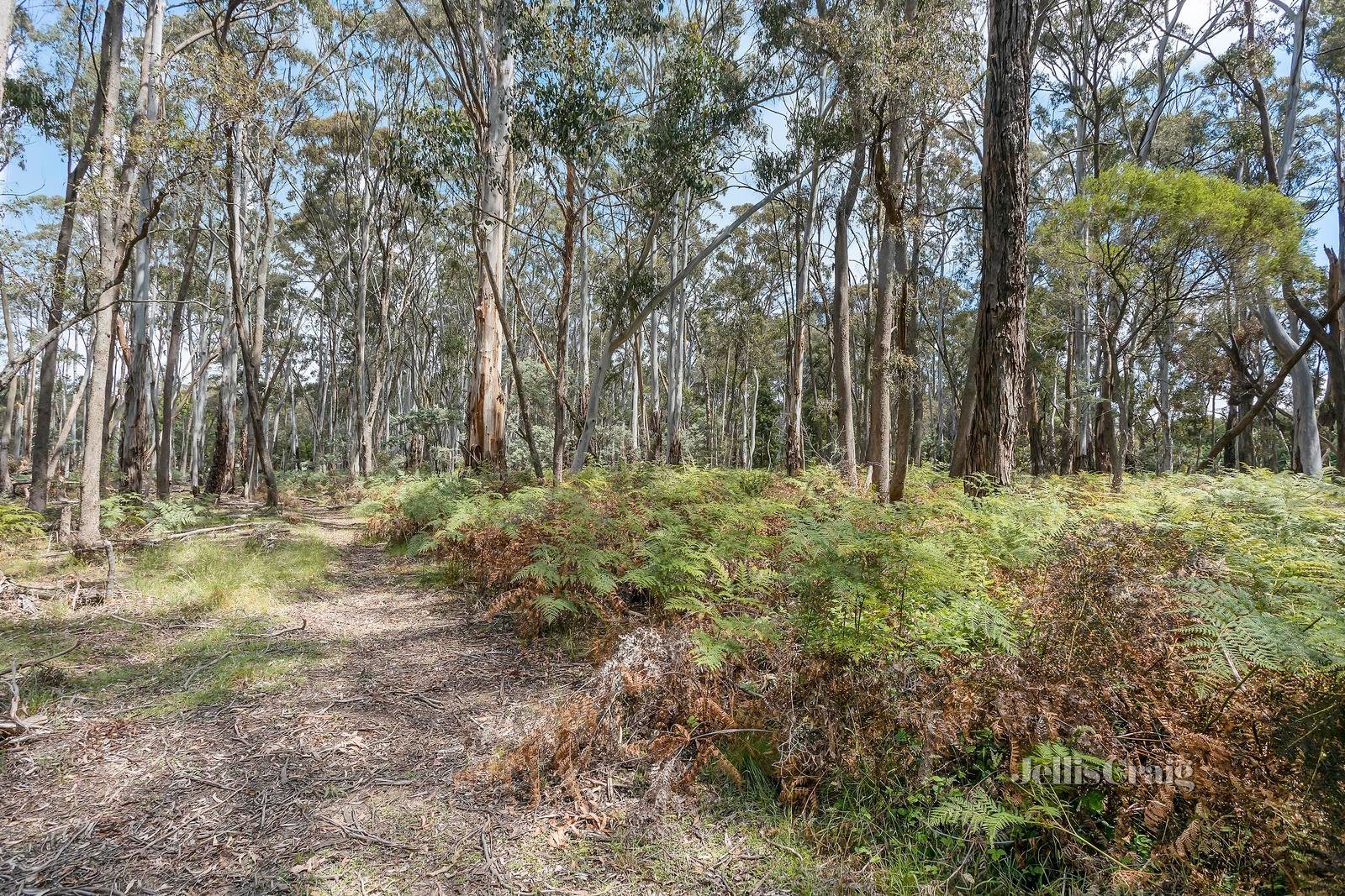 20 Woodduck Drive, Wheatsheaf image 4