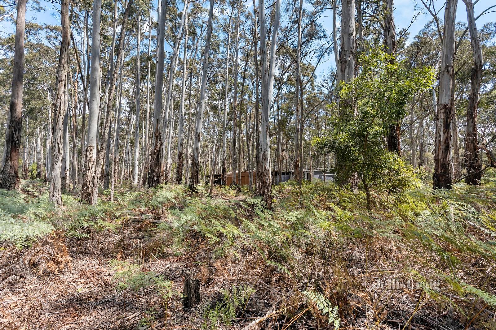 20 Woodduck Drive, Wheatsheaf image 3