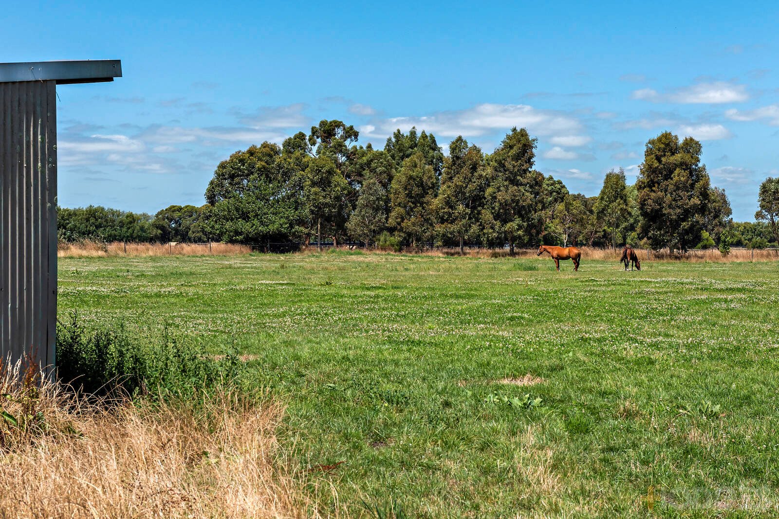 200 Dineen Road Bayles