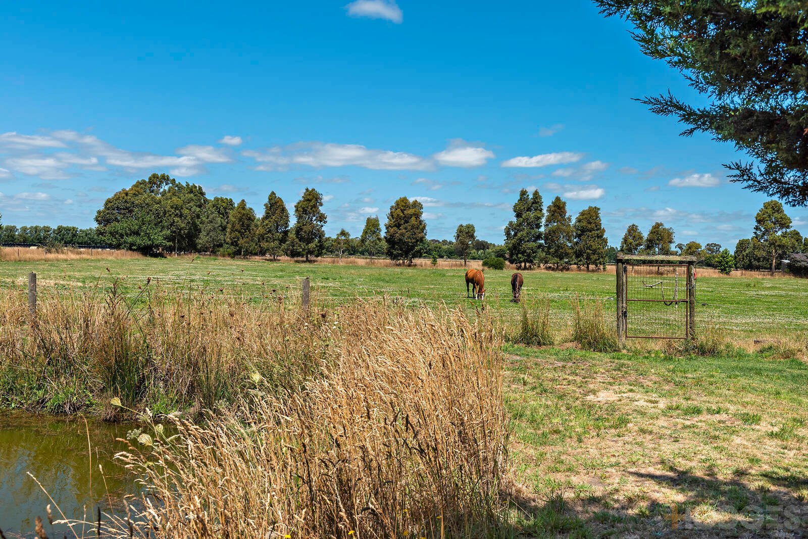 200 Dineen Road Bayles
