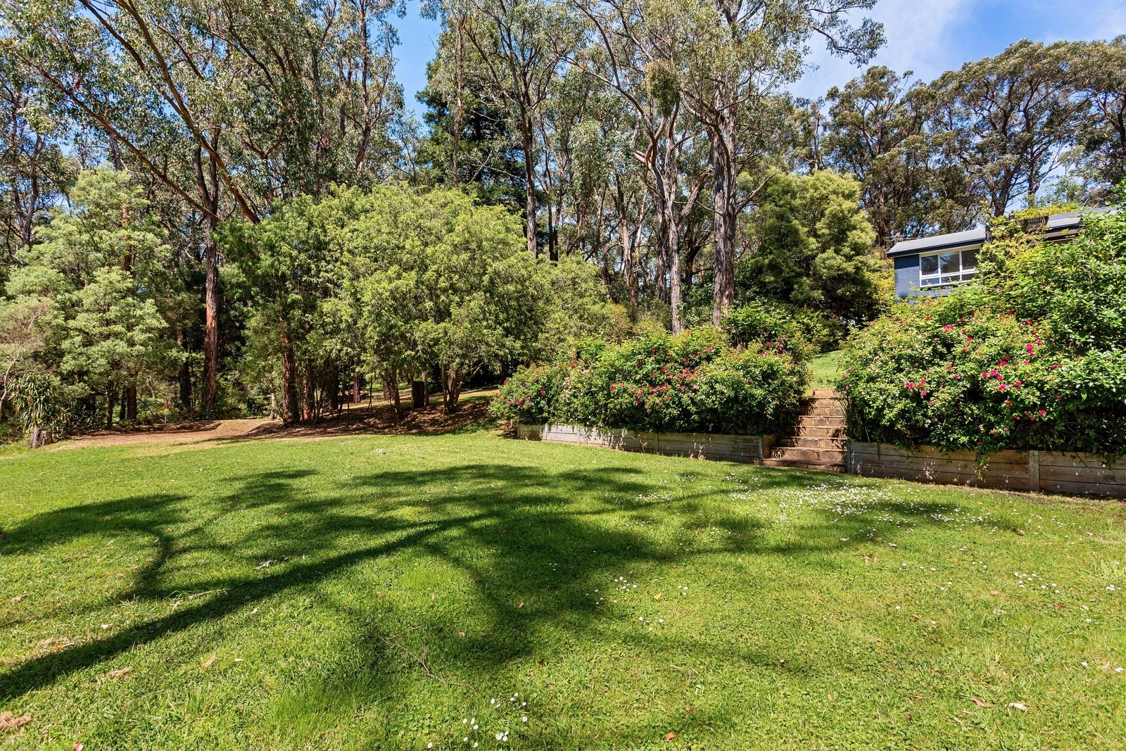 201 Point Leo Road, Red Hill South Buxton Mornington Peninsula 201 Point Leo Road, Red Hill South Buxton Mornington Peninsula