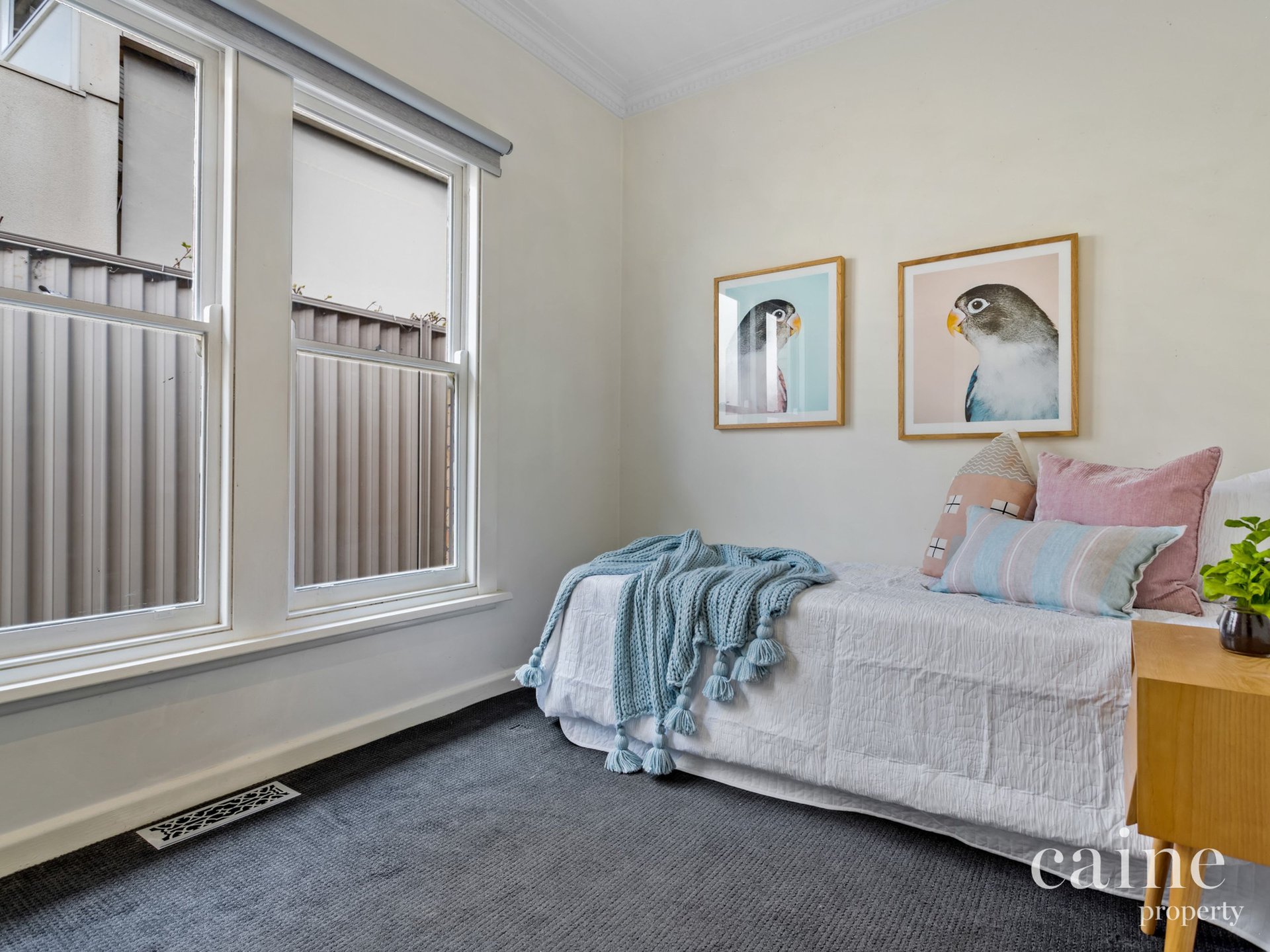 202 Clissold Street, Black Hill image 12