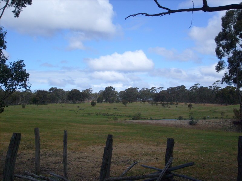 202 Sawmill Road, Muckleford image 2