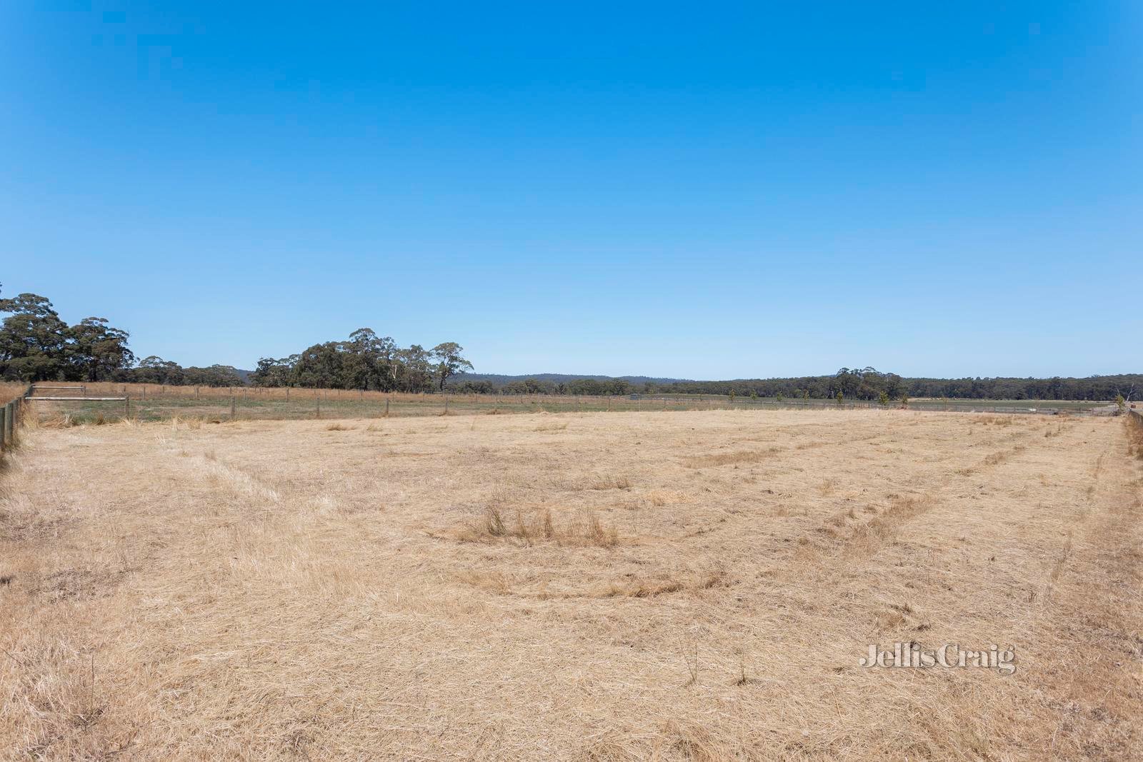 203 Goochs Lane, Glenlyon image 6