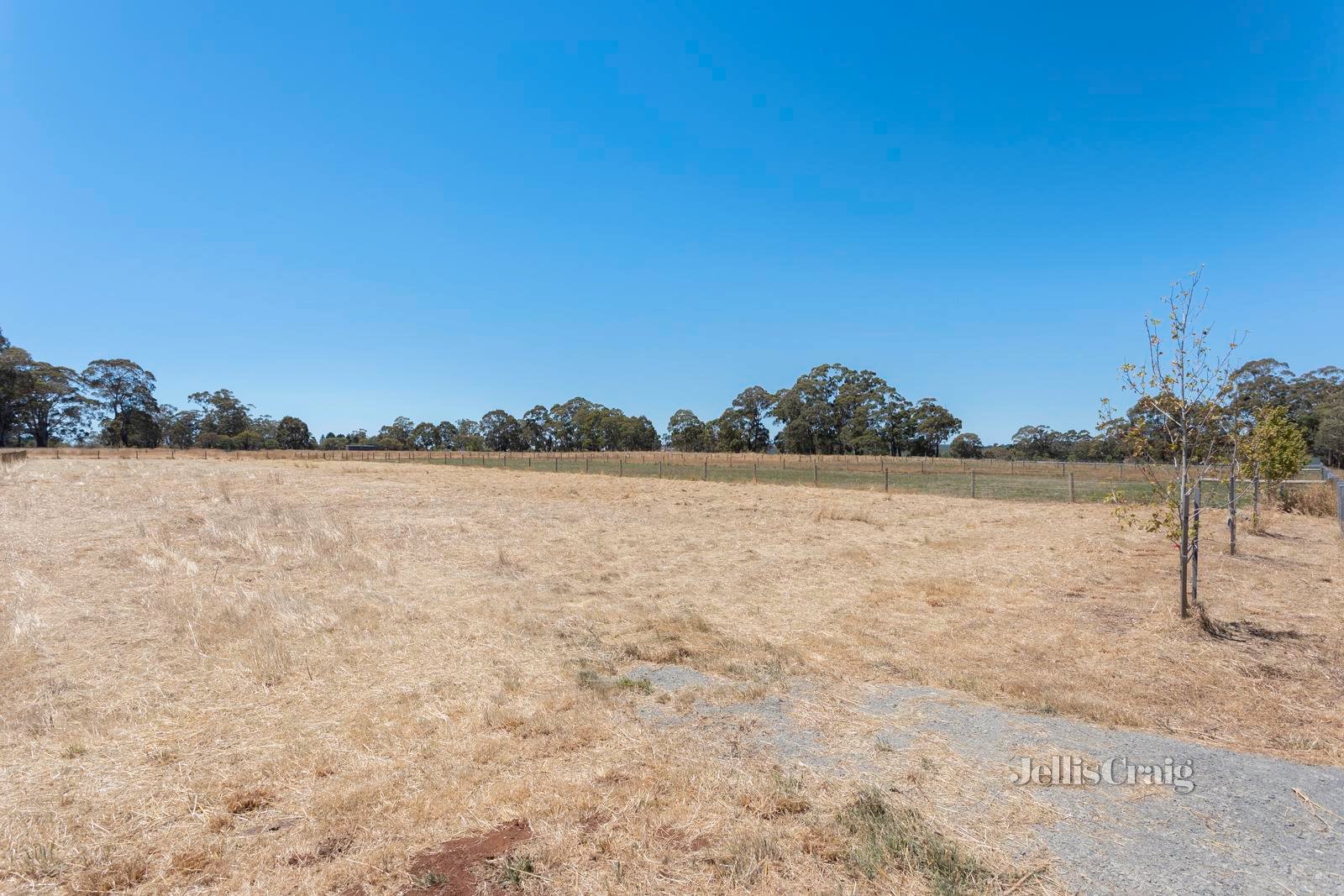 203 Goochs Lane, Glenlyon image 7