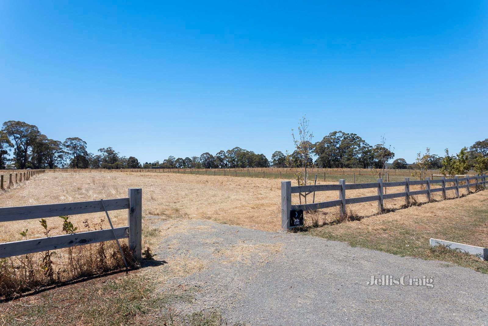 203 Goochs Lane, Glenlyon image 8