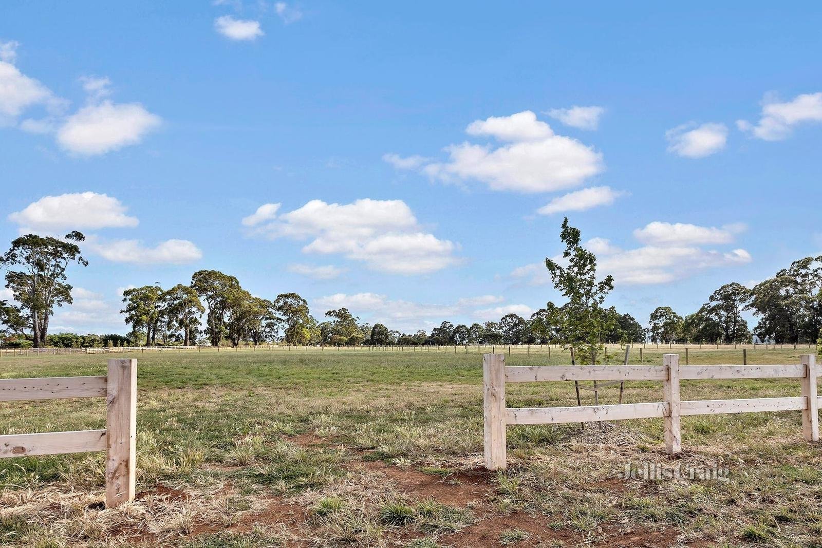 203 Goochs Lane, Glenlyon, VIC 3461 Land for Sale