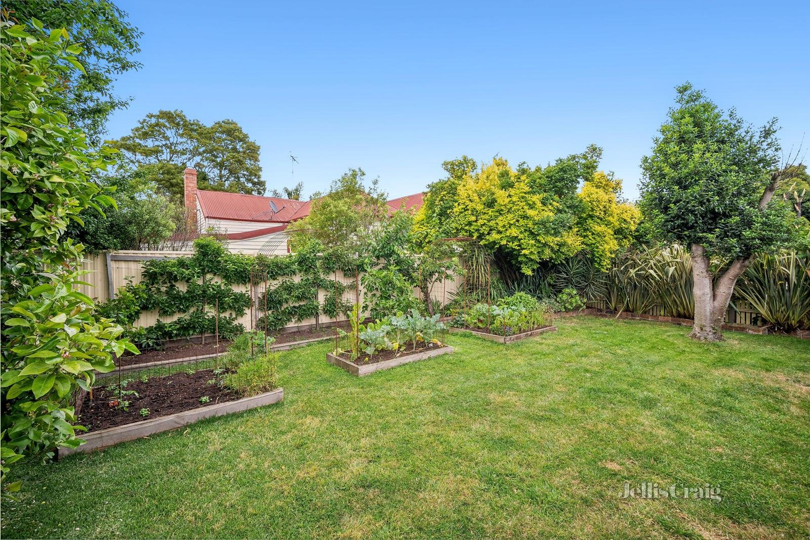 204 Humffray Street North, Ballarat East image 8