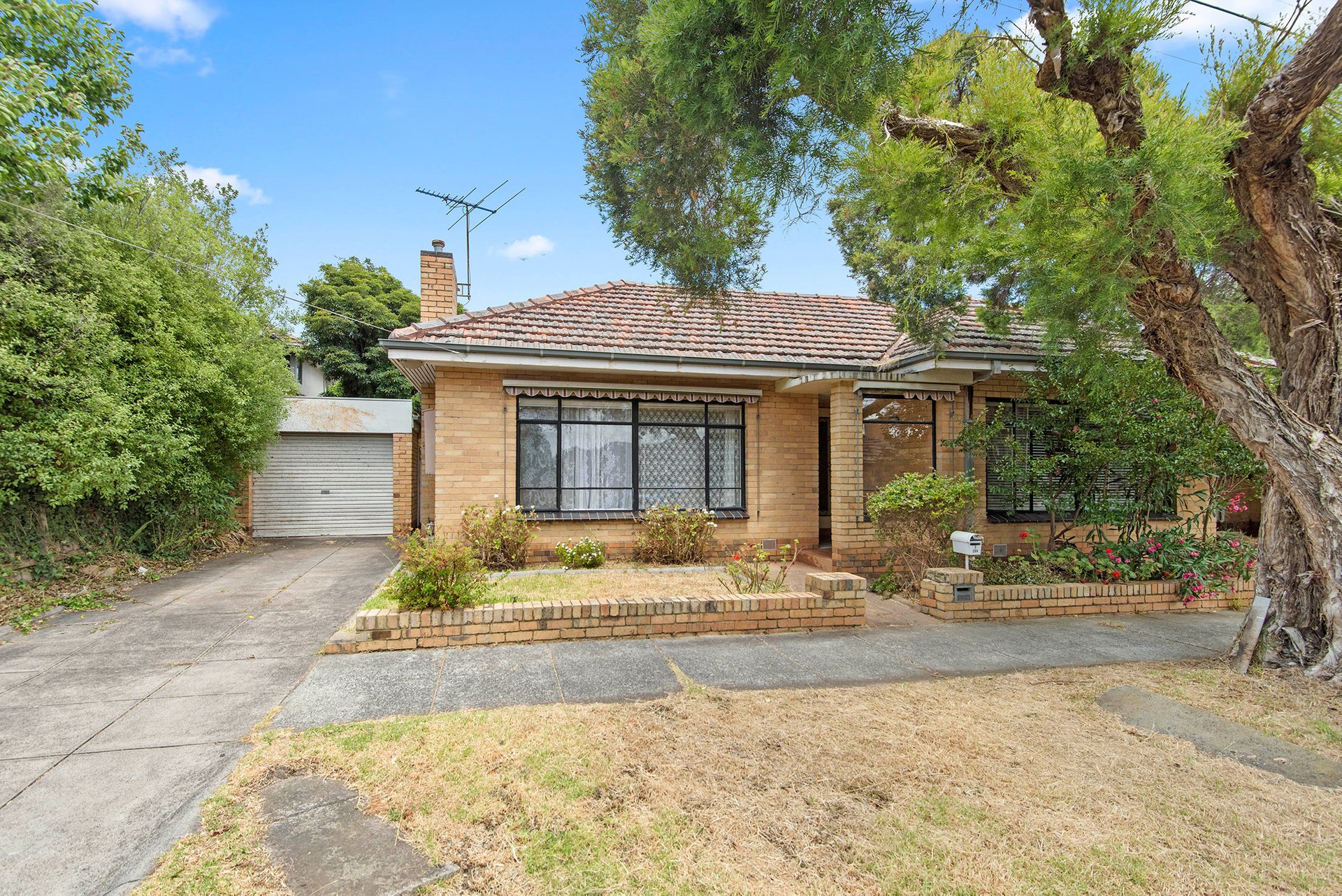 204 Jasper Road, Bentleigh image 1