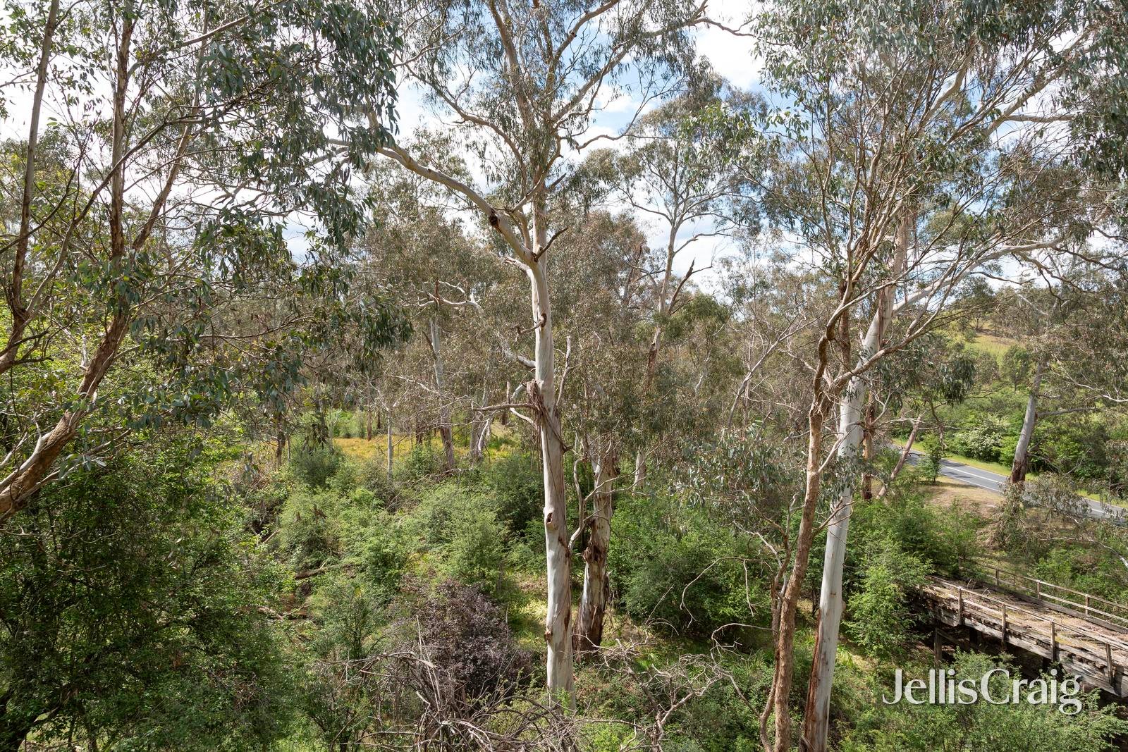 205 Boyds Road, Hurstbridge image 14