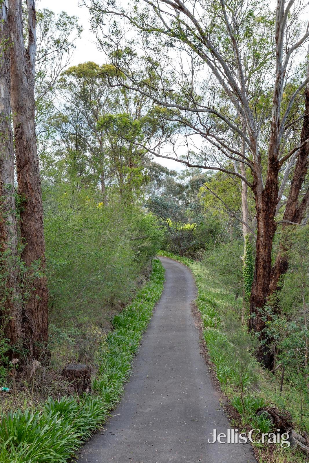 205 Boyds Road, Hurstbridge image 15