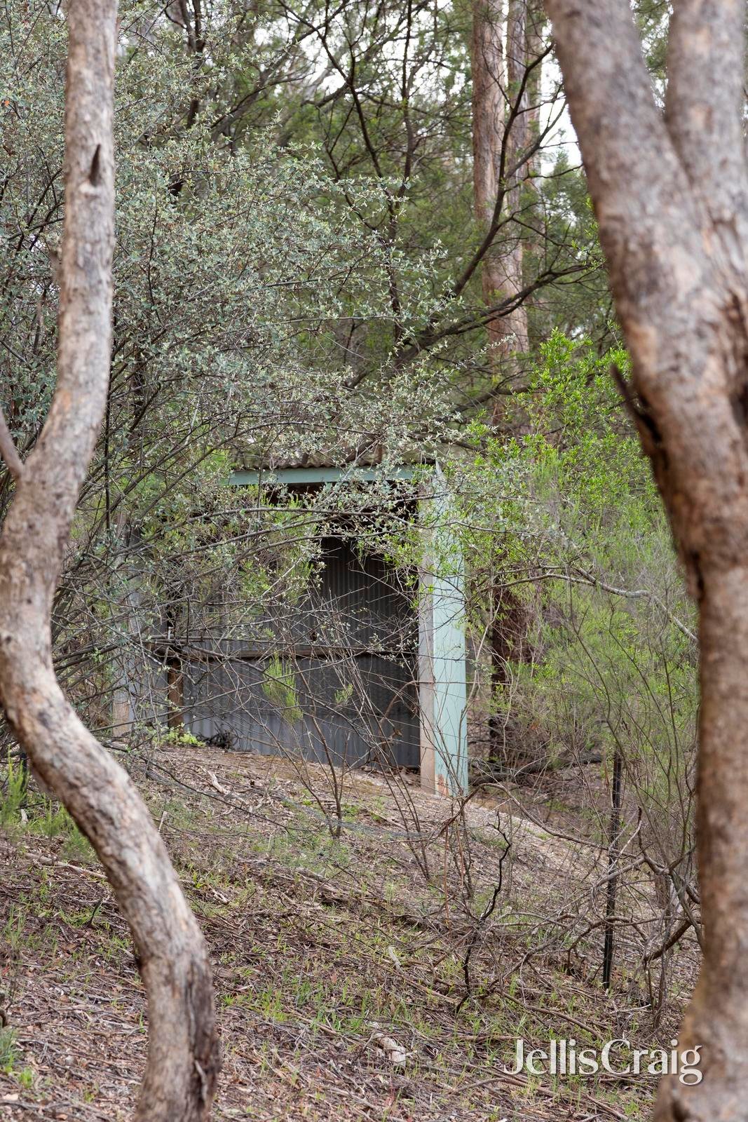 205 Boyds Road, Hurstbridge image 16