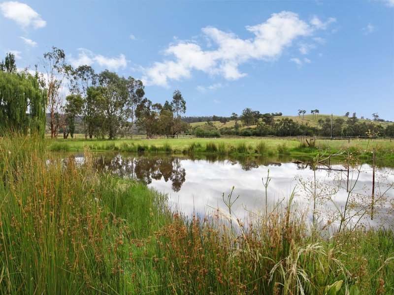 205 Gulf Road, Yarra Glen image 14