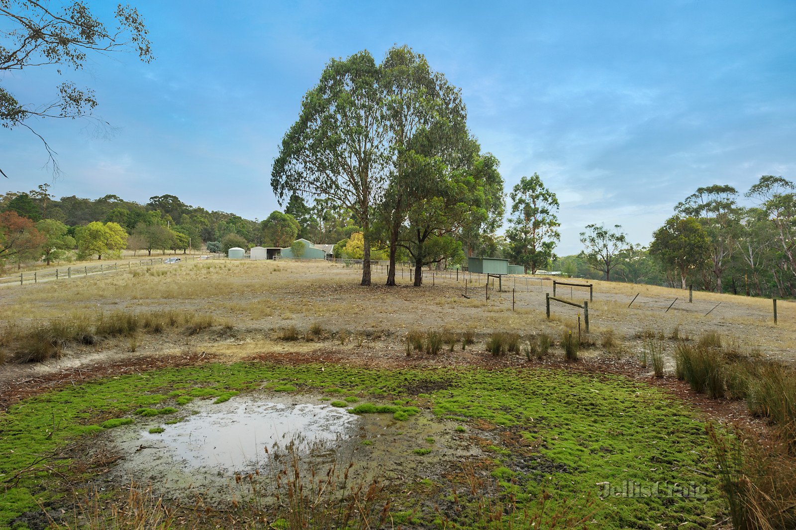 205 Smiths Gully Road, Smiths Gully image 10