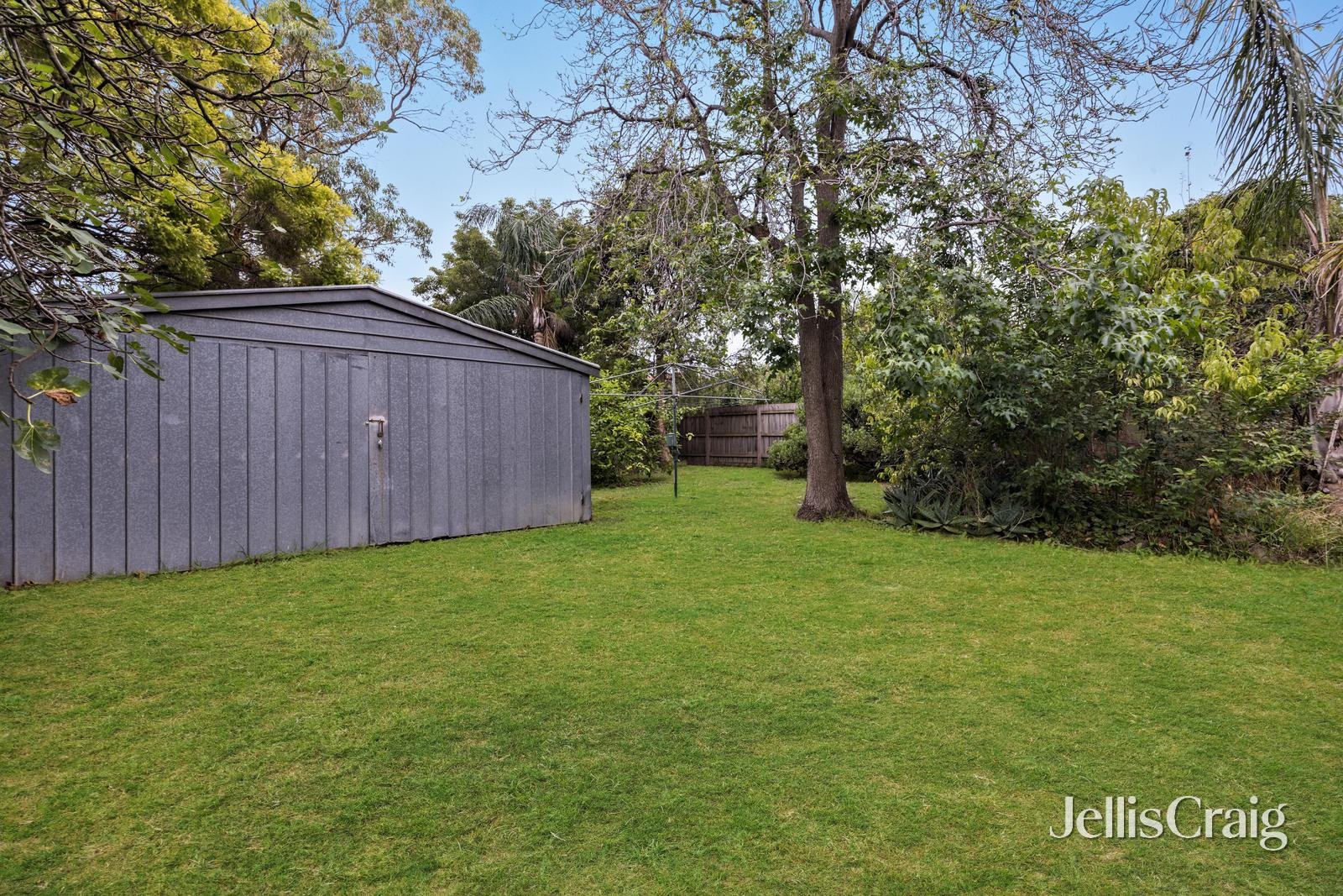 207 Whitehorse Road, Blackburn image 3
