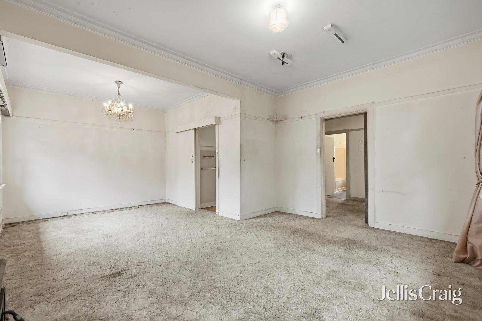 207 Whitehorse Road, Blackburn image 7