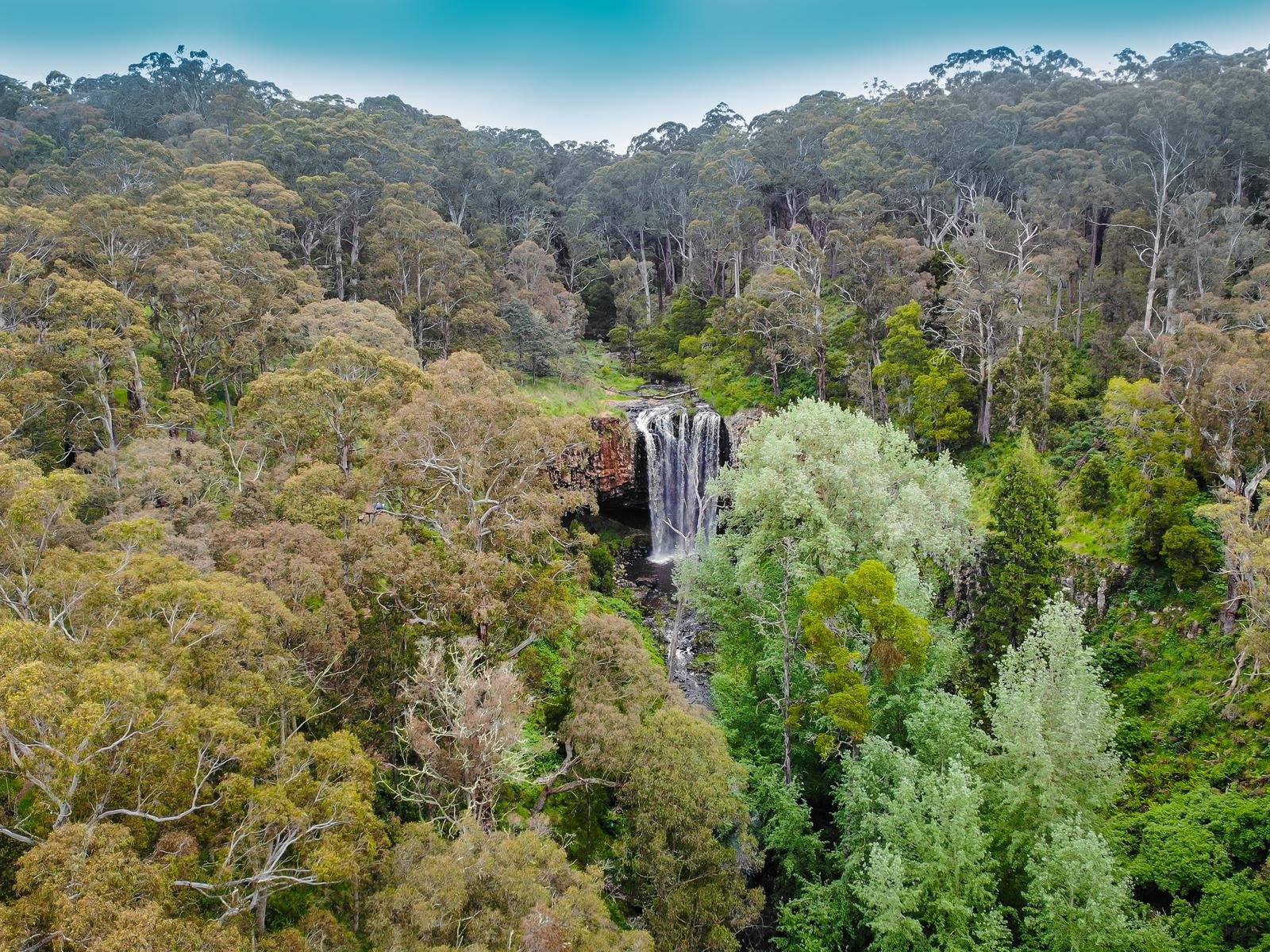 2085 Trentham Falls Road, Trentham image 14