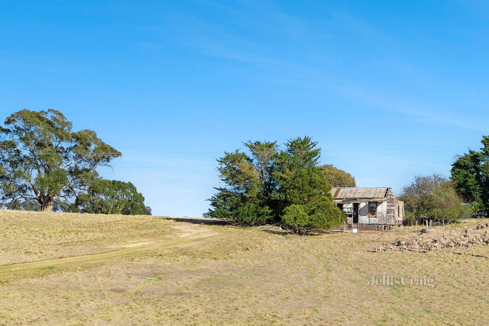 209 Fordes Lane, Kyneton image 3