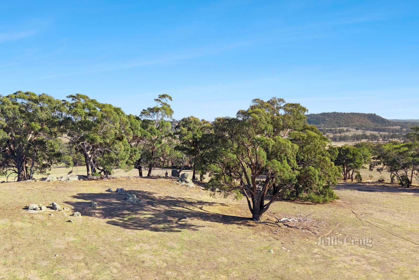 209 Fordes Lane, Kyneton image 7
