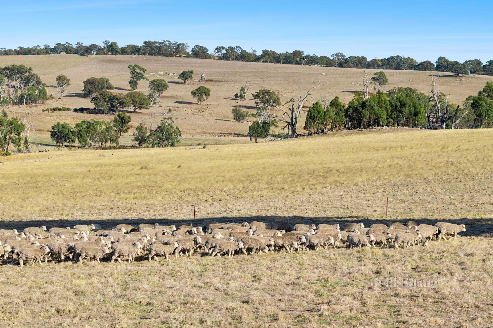 209 Fordes Lane, Kyneton image 8