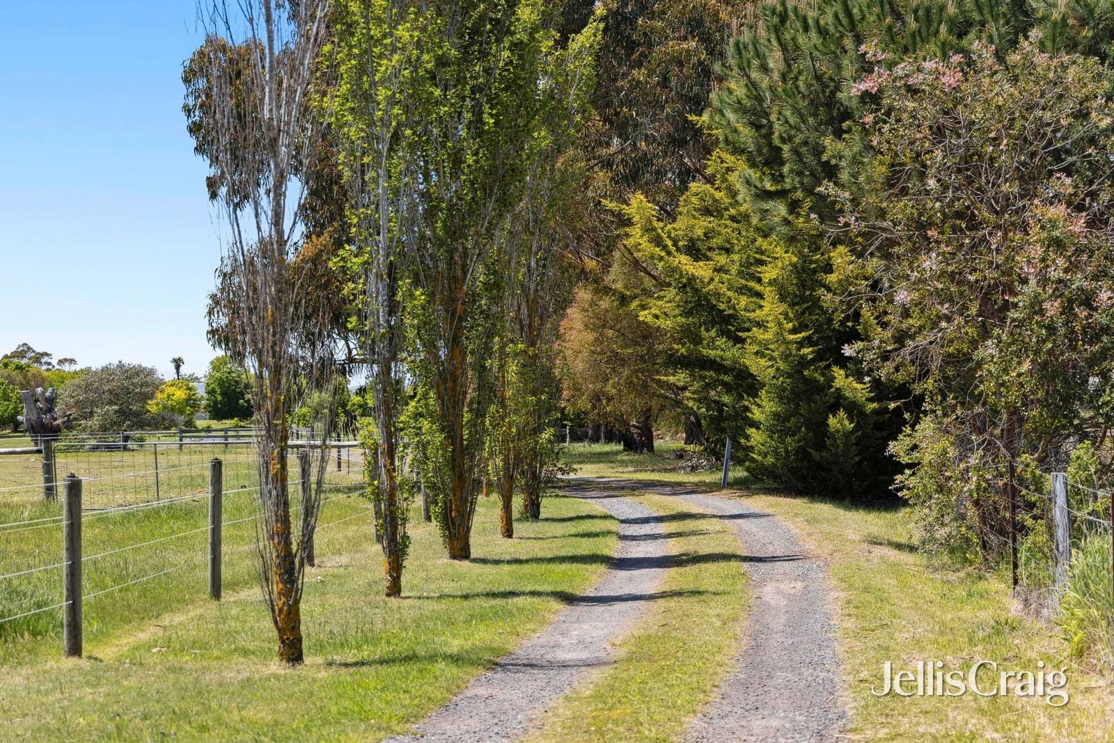 2098 Daylesford-Malmsbury Road, Drummond image 2