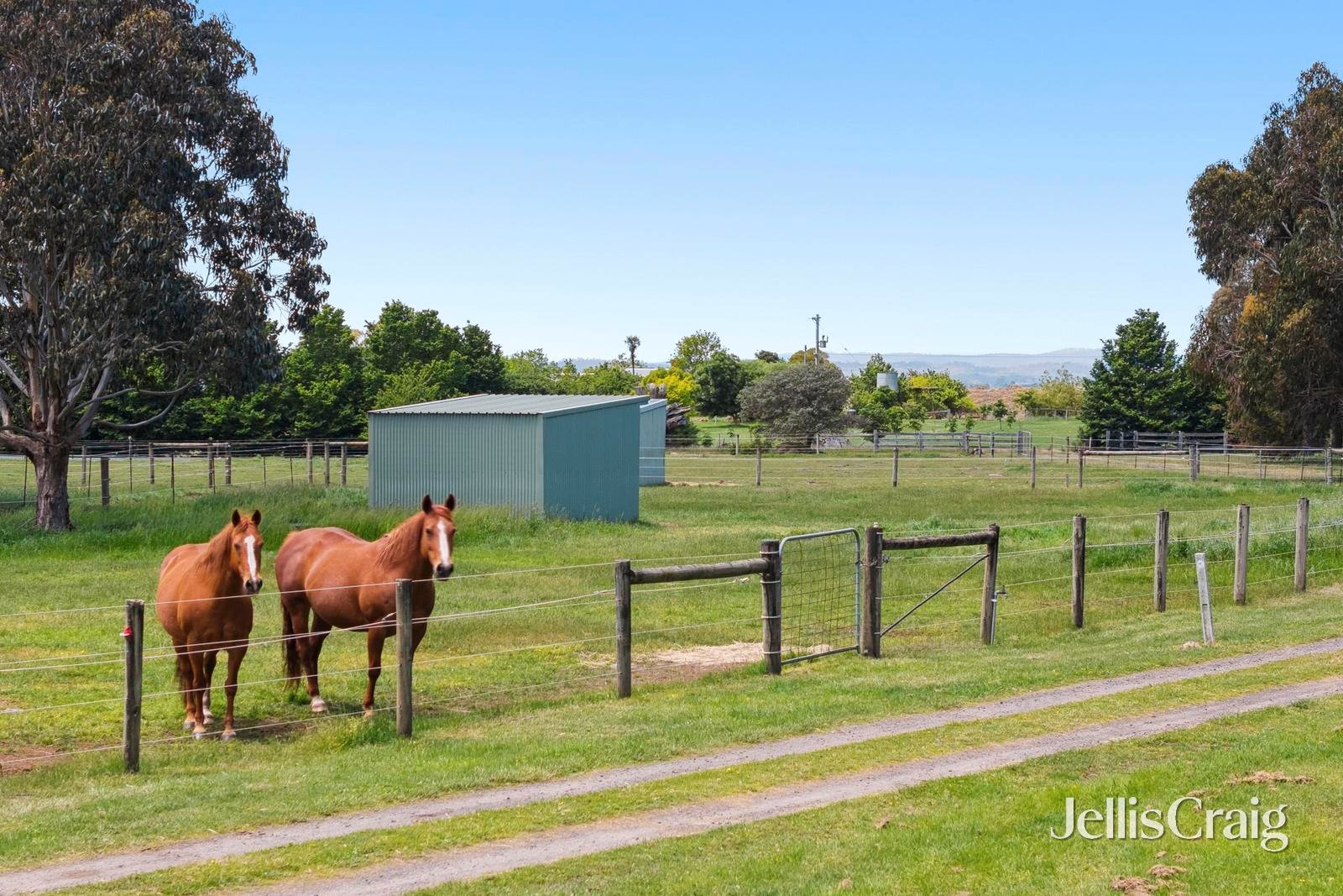 2098 Daylesford-Malmsbury Road, Drummond image 18