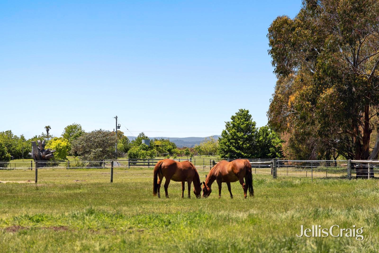 2098 Daylesford-Malmsbury Road, Drummond image 25