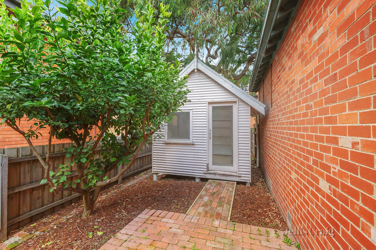 20A Hill Street, Hawthorn image 7