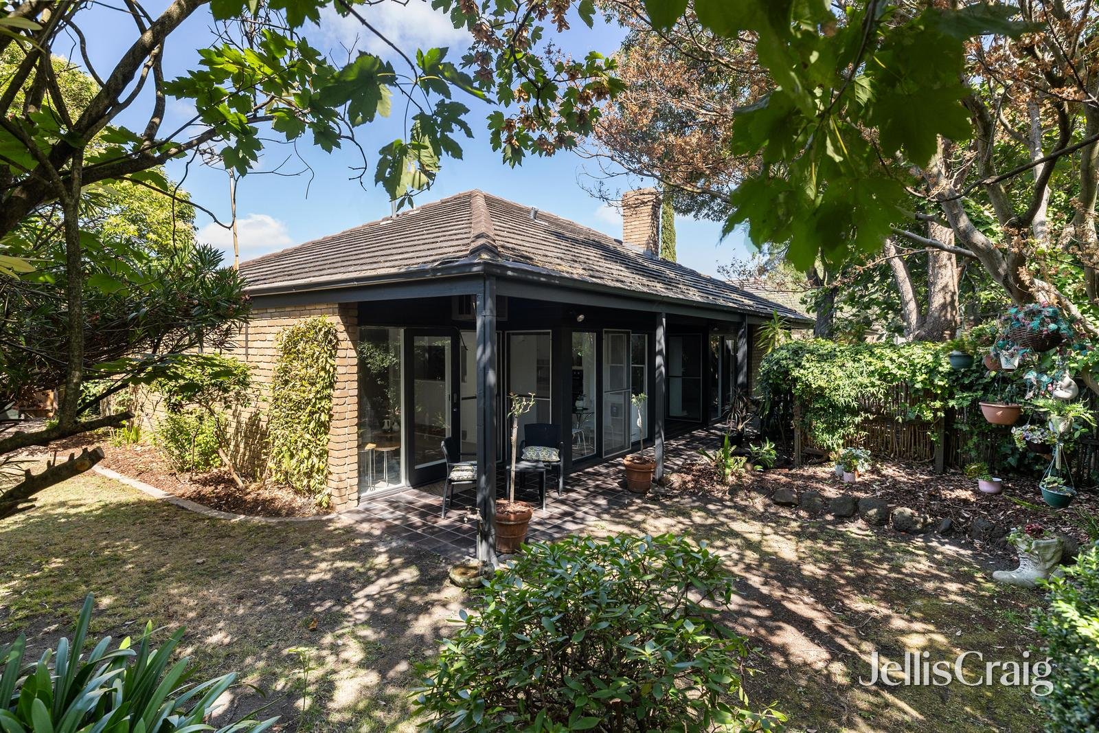 20B Irilbarra Road, Canterbury image 9