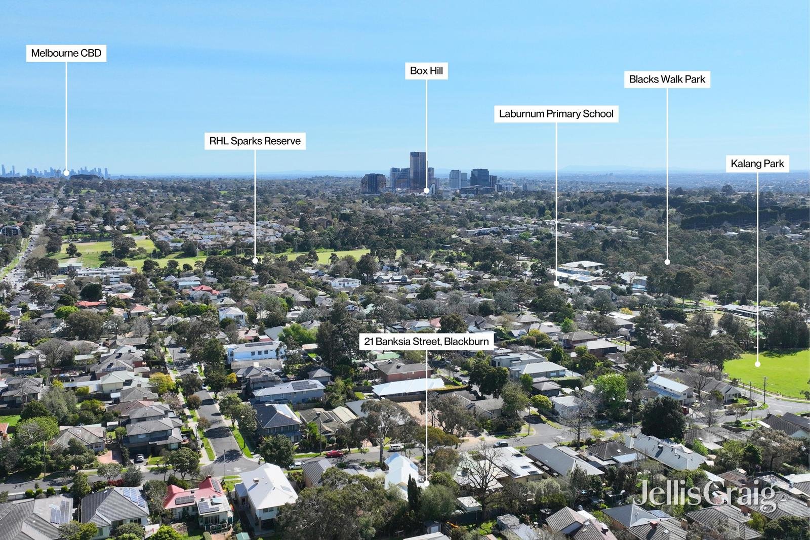 21 Banksia Street, Blackburn image 20