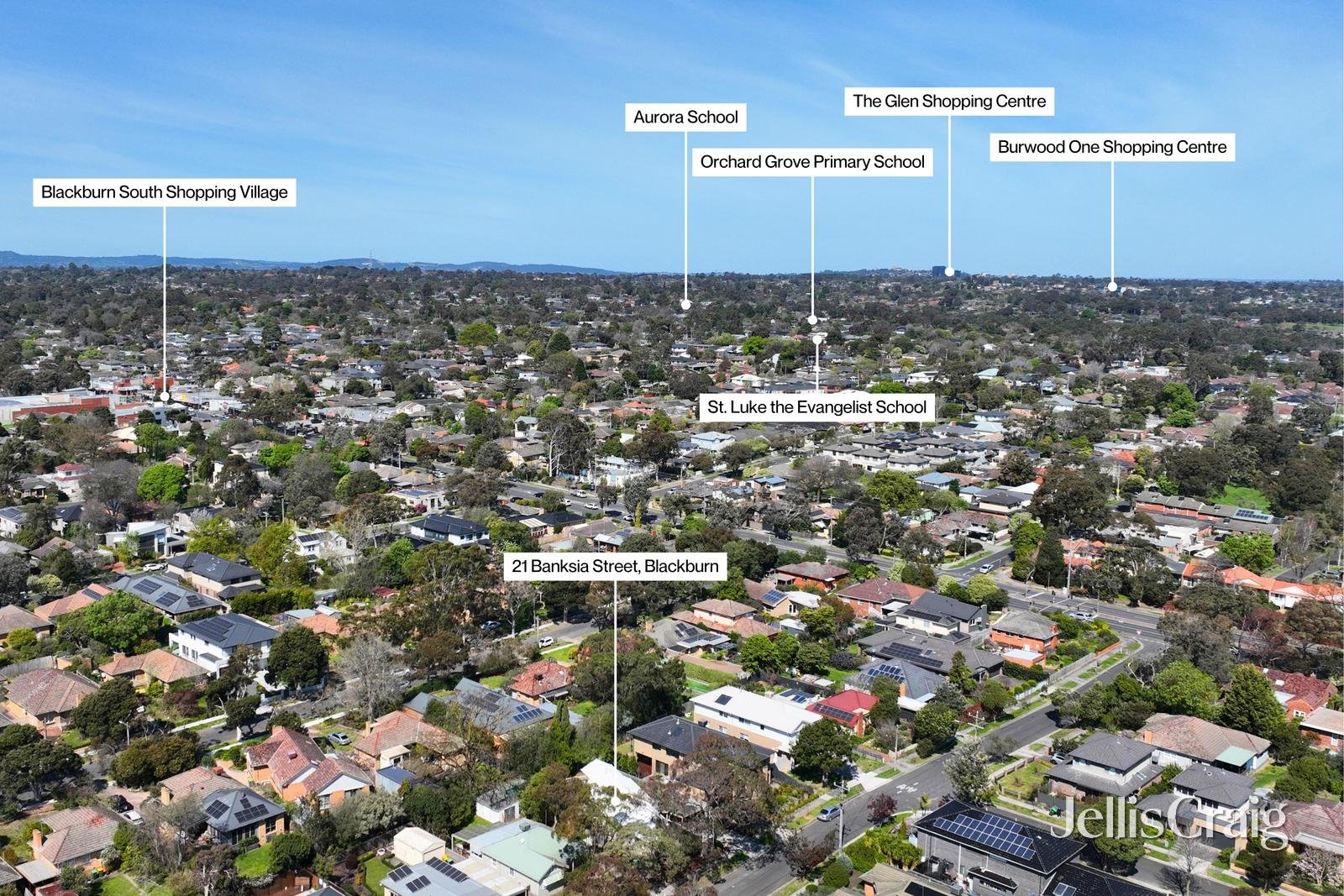 21 Banksia Street, Blackburn image 21