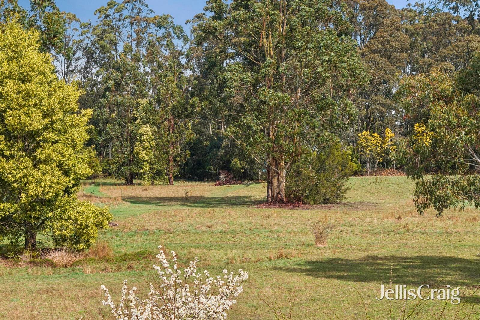 21 Beatties Road, Trentham image 11
