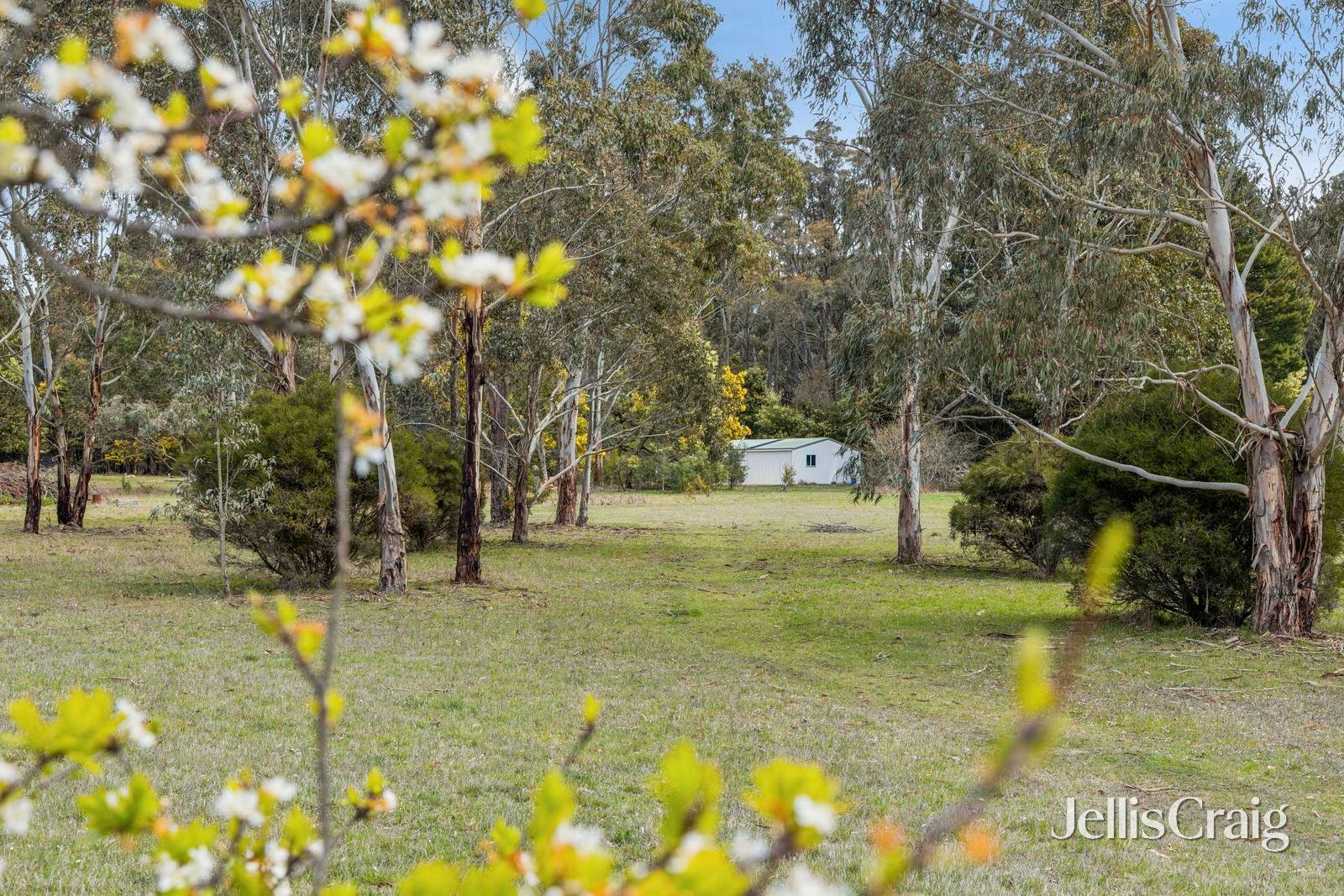 21 Beatties Road, Trentham image 18