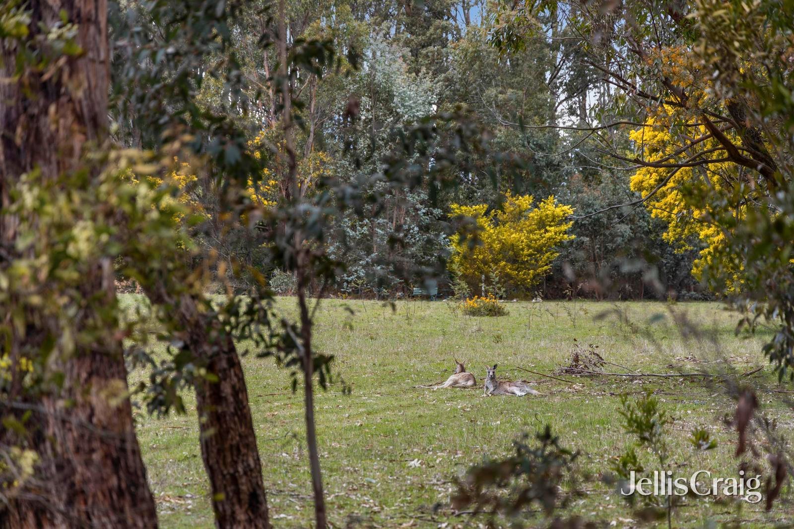 21 Beatties Road, Trentham image 20