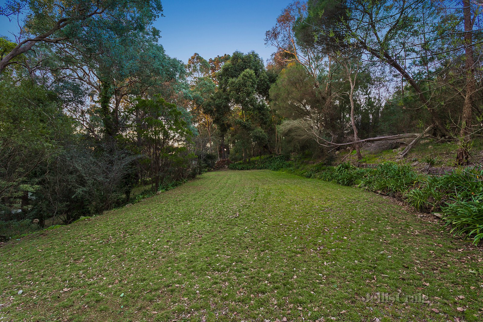 21 Beckett Road, Donvale image 12